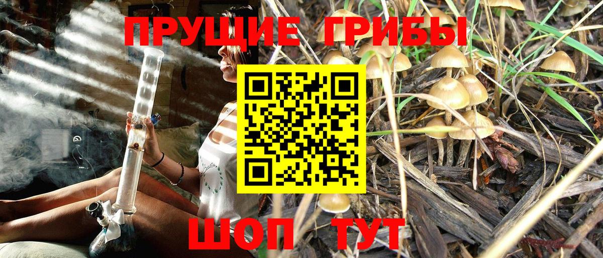 Галлюциногенные грибы GOLDEN TEACHER  Псилоцибиновые грибы мухоморы  Волоколамск  Вход с VPN 